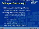 公共语言运行库(CLR)开发