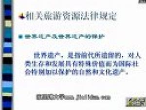 旅游法规