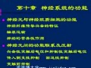 生理学