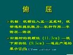 妇产科护理学
