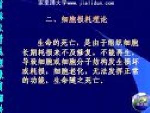 老年护理学